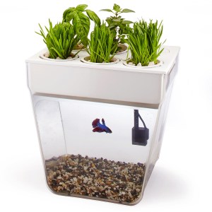 aquafarm