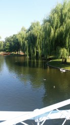 20150908_104734[1]