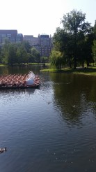 20150908_104747[1]