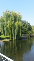20150908_110323[1]