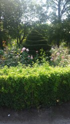 20150908_110625[1]