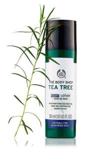 tea-tree-blemish-fade-night-lotion_l