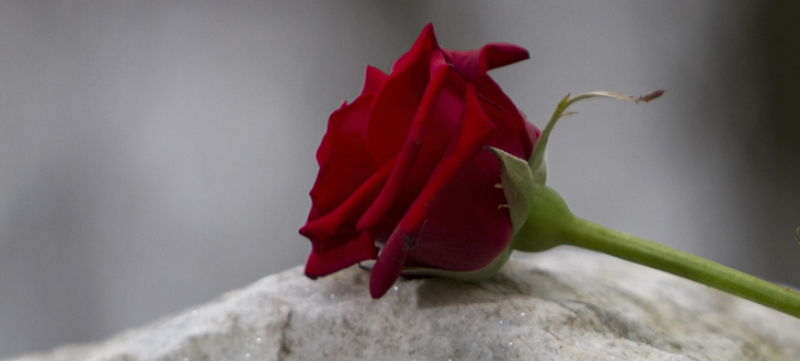 grief-title-image_tcm7-160799