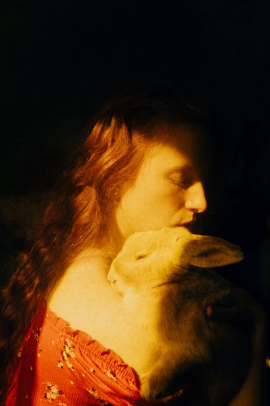 painting of dreamy woman with rabbit on sunny day