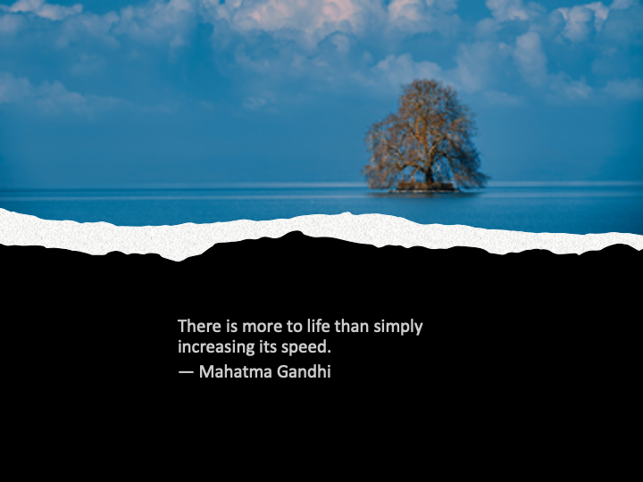 Quote of the Day - More to Life