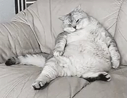 bloat2