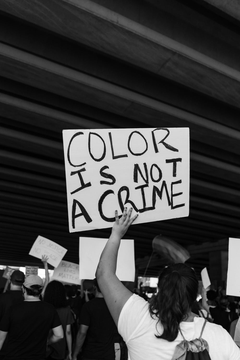 BLM2
