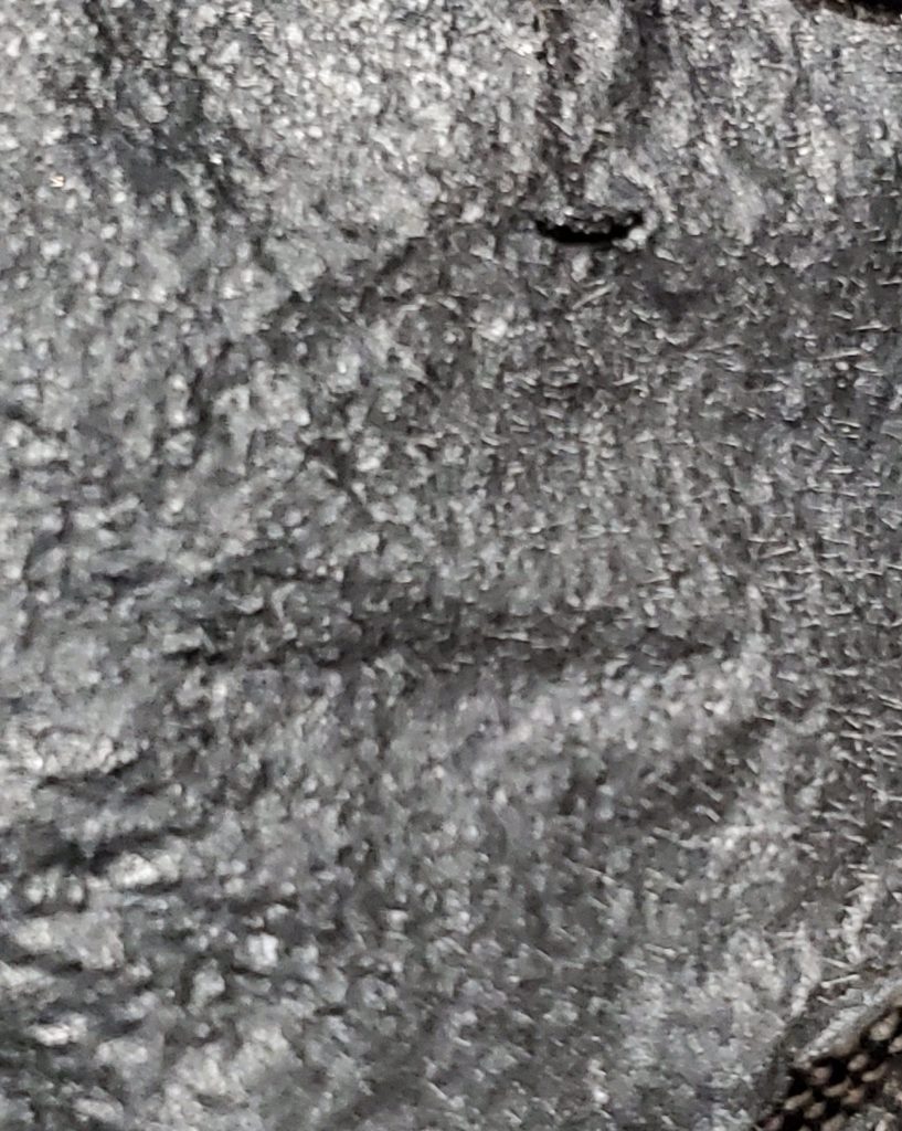 activated charcoal
